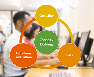 Image of Capacity Building